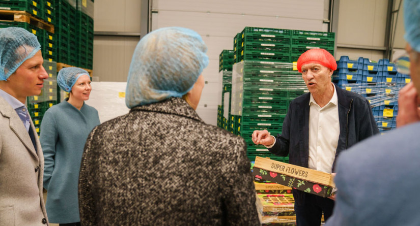 Werkbezoek in een AGF-bedrijf: bezoekers met haarnetjes in gesprek tussen stapels kratten